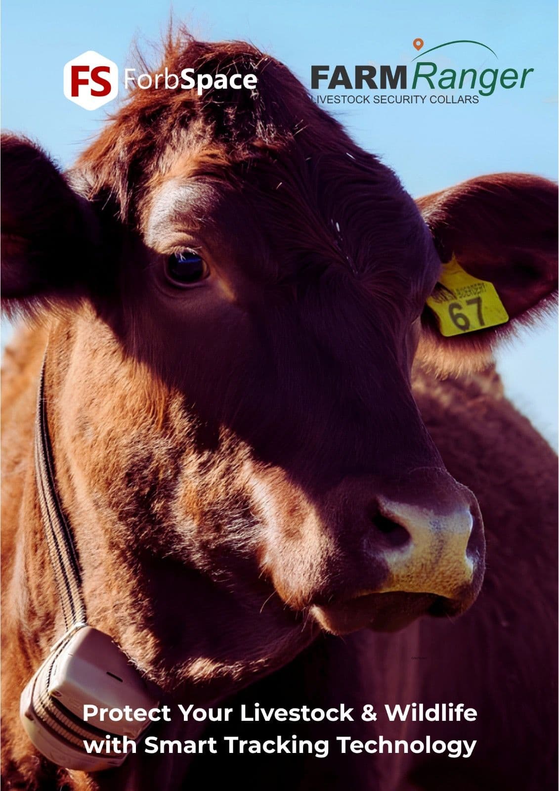 ForbSpace GPS Livestock Tracking Collar